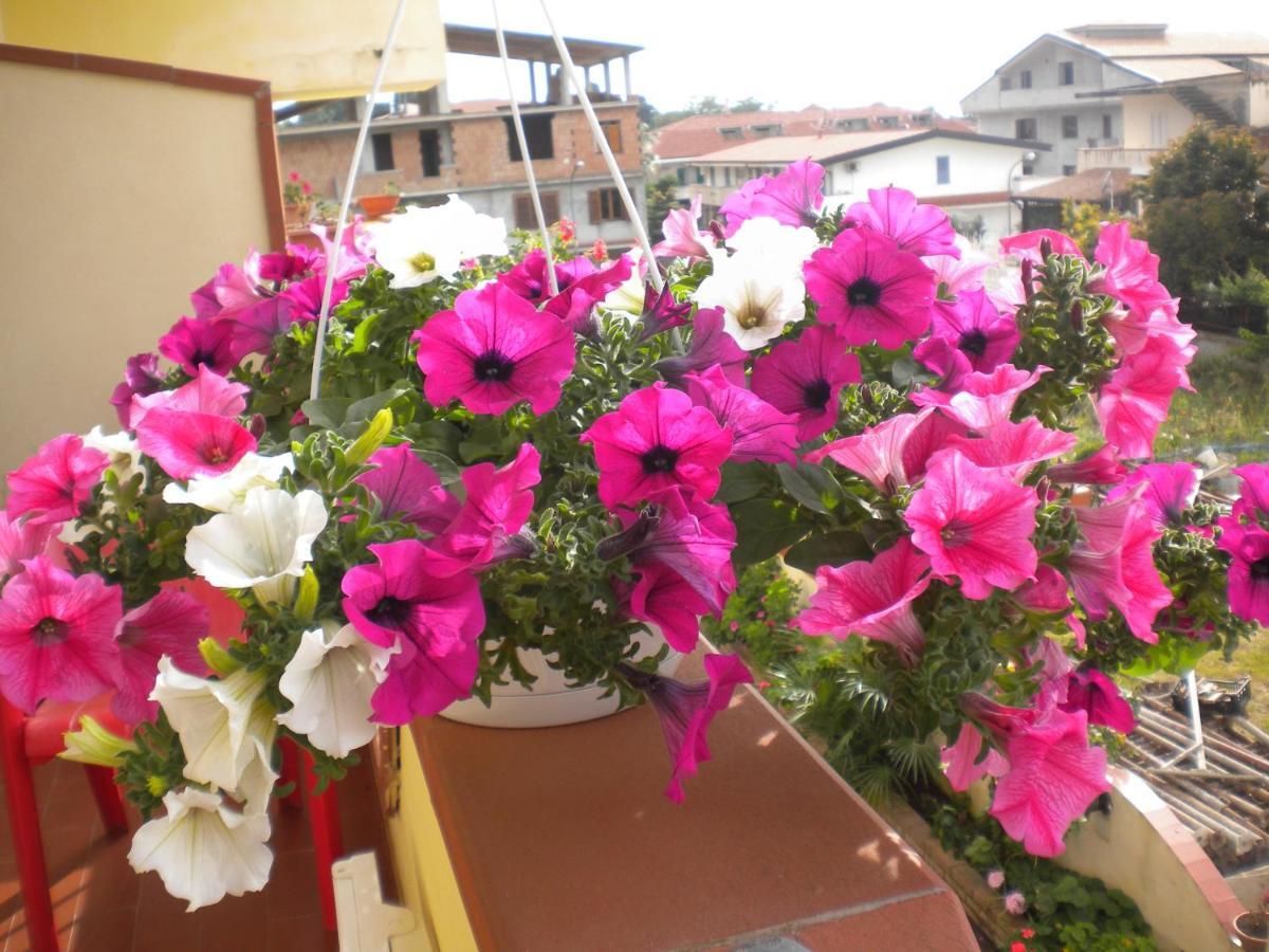 B&B Del Sole Tropea Riaci Buitenkant foto